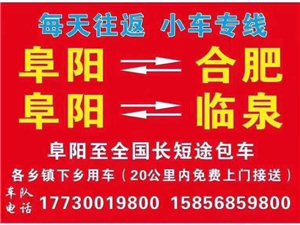 临泉最新招聘信息概览