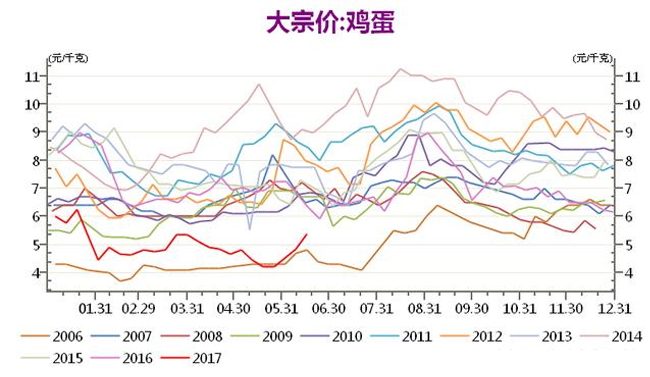 最新鸡蛋价格行情分析