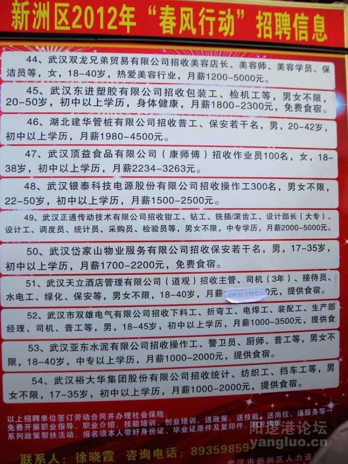 阳新招聘网最新招聘动态及其影响